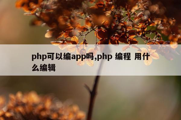 php可以编app吗,php 编程 用什么编辑