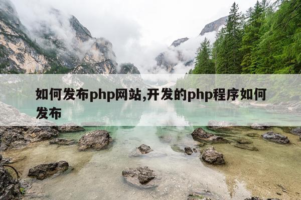 如何发布php网站,开发的php程序如何发布