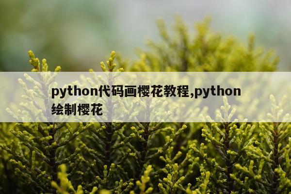 python代码画樱花教程,python绘制樱花