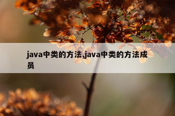 java中类的方法,java中类的方法成员