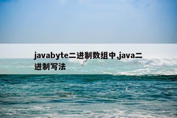 javabyte二进制数组中,java二进制写法