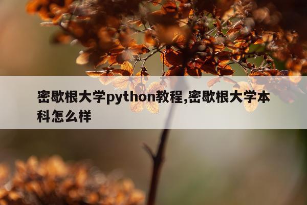 密歇根大学python教程,密歇根大学本科怎么样