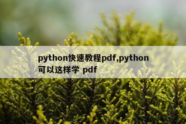 python快速教程pdf,python可以这样学 pdf