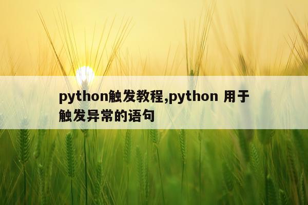 python触发教程,python 用于触发异常的语句