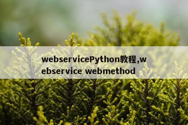 webservicePython教程,webservice webmethod