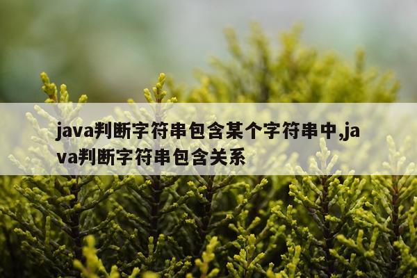 java判断字符串包含某个字符串中,java判断字符串包含关系