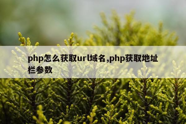php怎么获取url域名,php获取地址栏参数