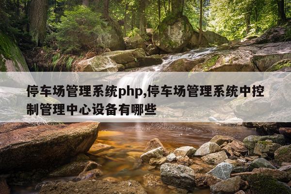 停车场管理系统php,停车场管理系统中控制管理中心设备有哪些