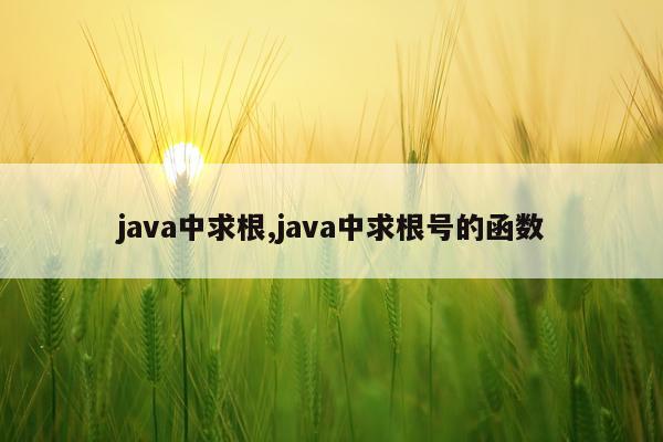 java中求根,java中求根号的函数