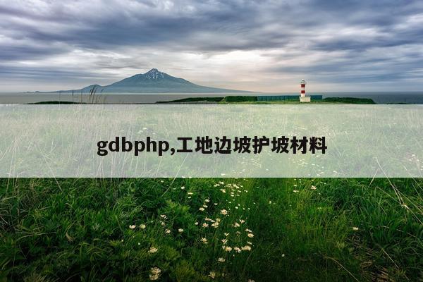 gdbphp,工地边坡护坡材料