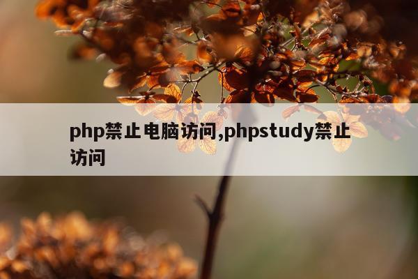 php禁止电脑访问,phpstudy禁止访问