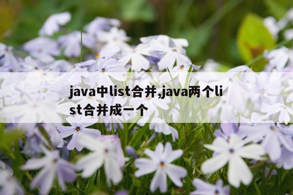 java中list合并,java两个list合并成一个