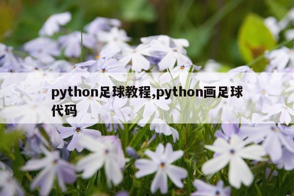 python足球教程,python画足球代码