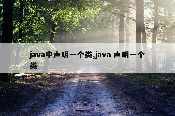java中声明一个类,java 声明一个类