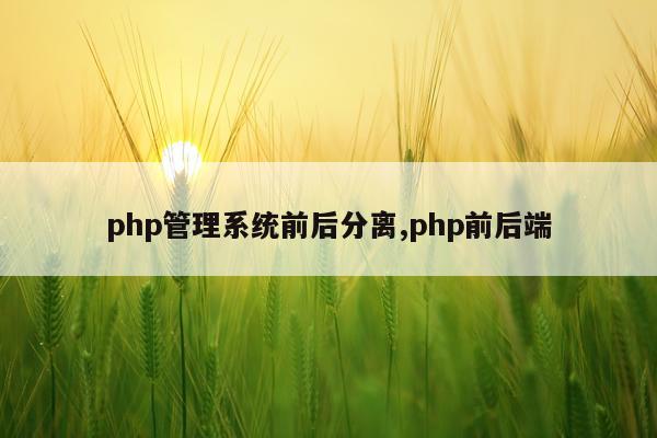 php管理系统前后分离,php前后端