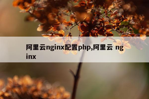 阿里云nginx配置php,阿里云 nginx