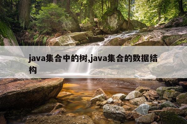 java集合中的树,java集合的数据结构