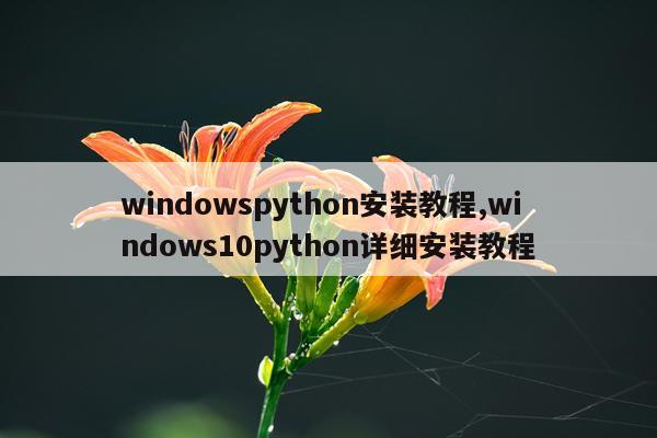 windowspython安装教程,windows10python详细安装教程