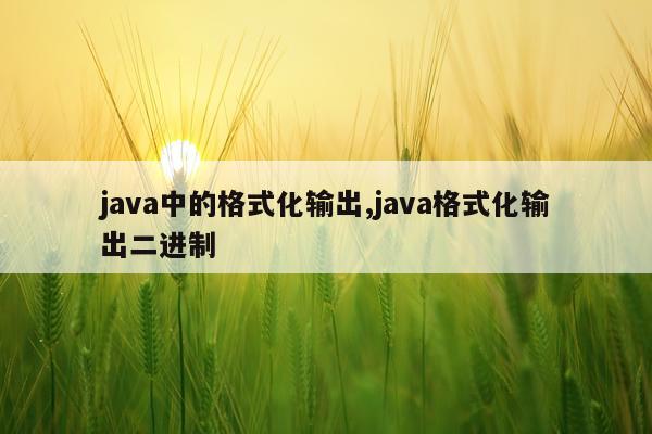java中的格式化输出,java格式化输出二进制