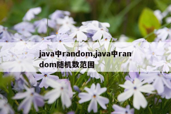 java中random,java中random随机数范围