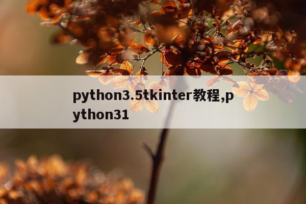python3.5tkinter教程,python31