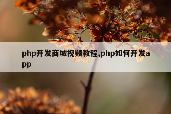 php开发商城视频教程,php如何开发app