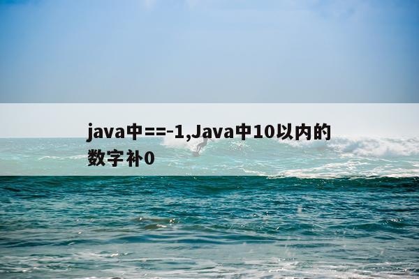 java中==-1,Java中10以内的数字补0