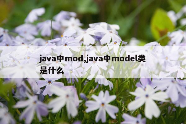 java中mod,java中model类是什么