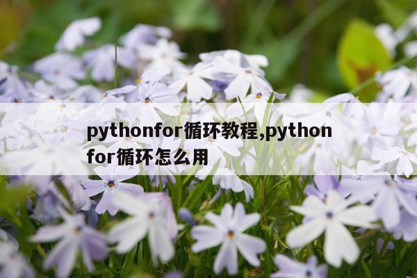 pythonfor循环教程,pythonfor循环怎么用