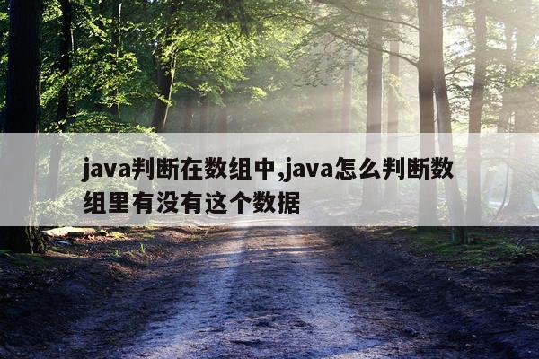 java判断在数组中,java怎么判断数组里有没有这个数据