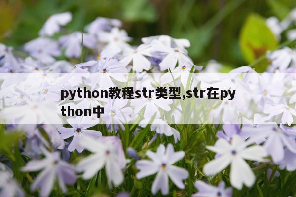 python教程str类型,str在python中