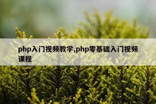 php入门视频教学,php零基础入门视频课程