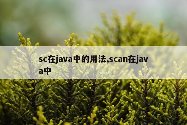 sc在java中的用法,scan在java中