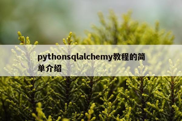 pythonsqlalchemy教程的简单介绍