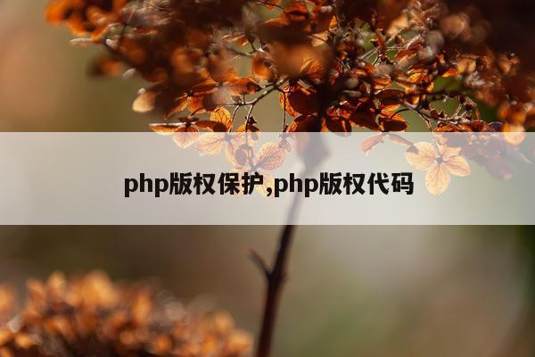 php版权保护,php版权代码