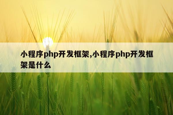 小程序php开发框架,小程序php开发框架是什么