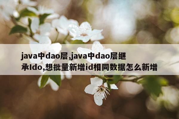 java中dao层,java中dao层继承Ido,想批量新增id相同数据怎么新增