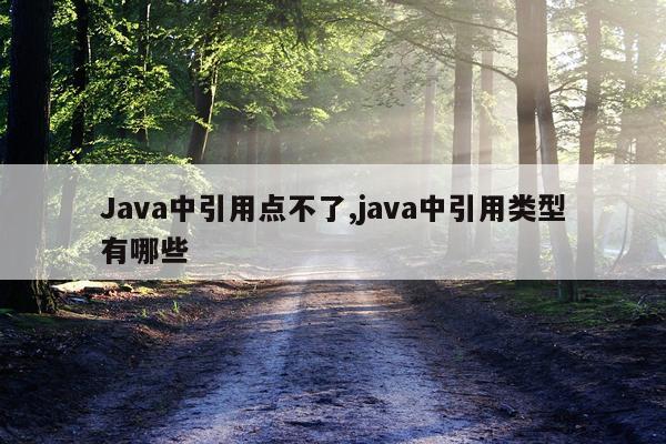 Java中引用点不了,java中引用类型有哪些