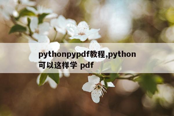pythonpypdf教程,python可以这样学 pdf