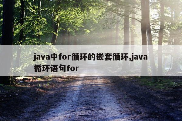 java中for循环的嵌套循环,java循环语句for