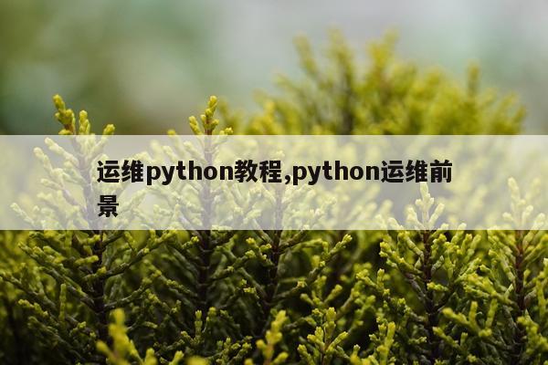 运维python教程,python运维前景