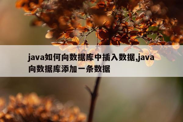 java如何向数据库中插入数据,java向数据库添加一条数据