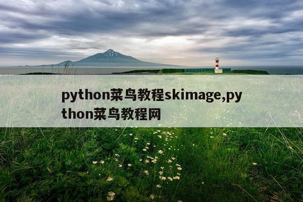 python菜鸟教程skimage,python菜鸟教程网