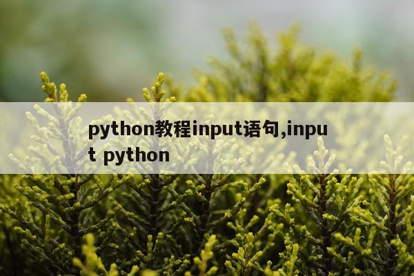 python教程input语句,input python