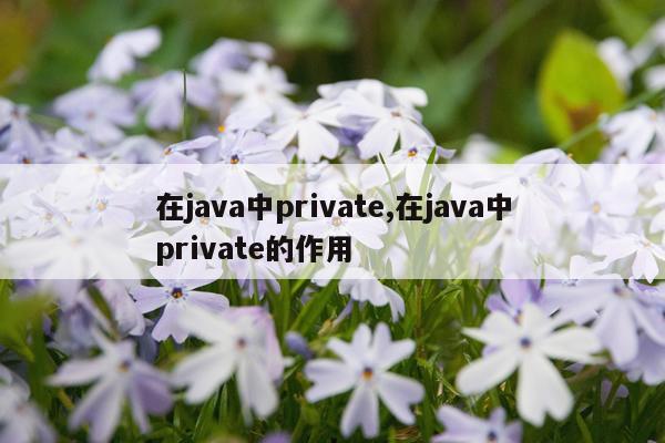 在java中private,在java中private的作用