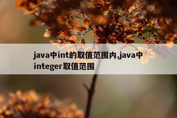 java中int的取值范围内,java中integer取值范围