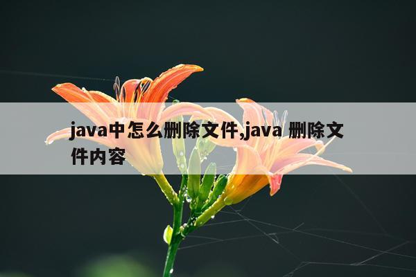 java中怎么删除文件,java 删除文件内容