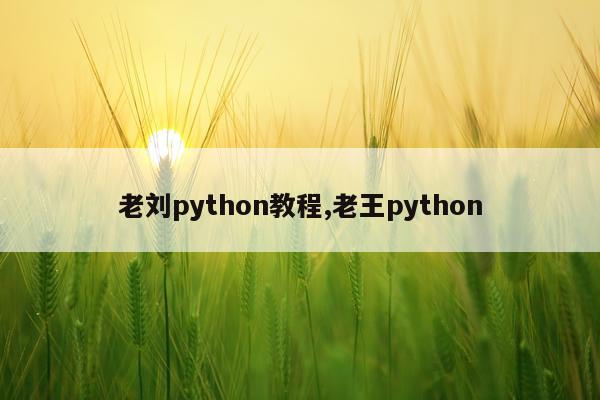 老刘python教程,老王python