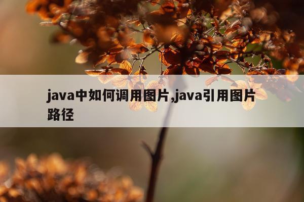 java中如何调用图片,java引用图片路径