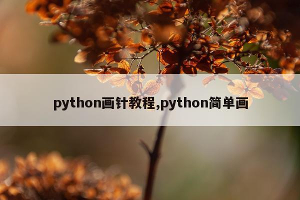 python画针教程,python简单画